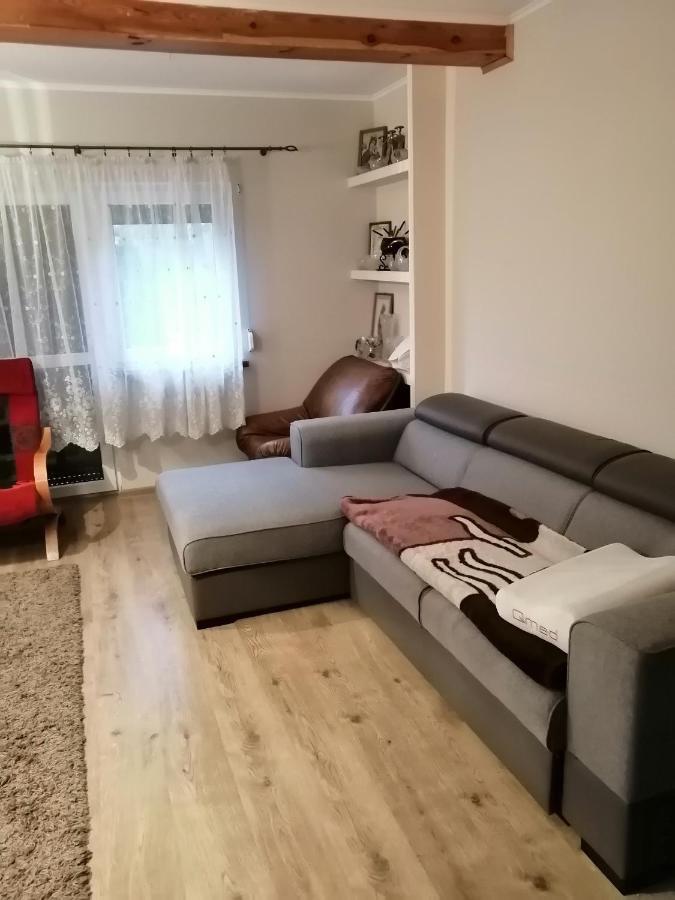 Noclegi Przy Kominku Miedzyles  Extérieur photo