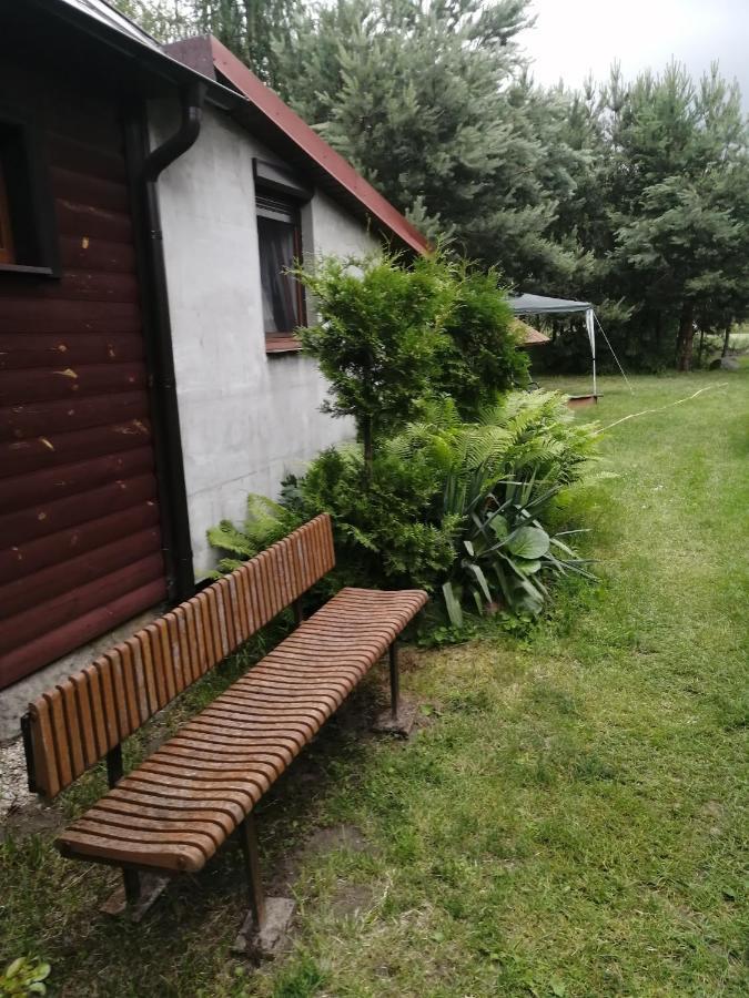 Noclegi Przy Kominku Miedzyles  Extérieur photo