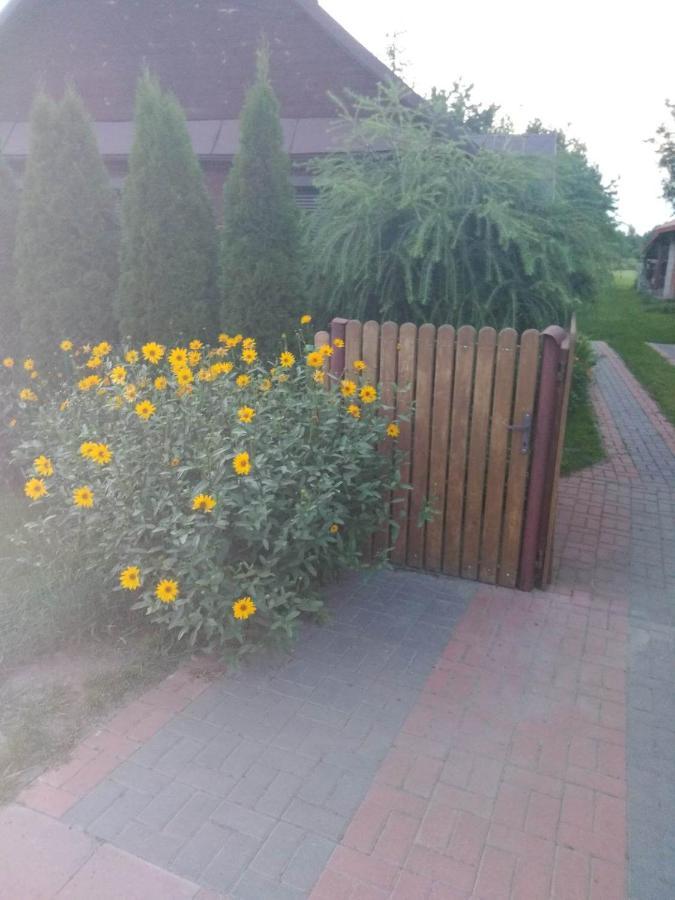 Noclegi Przy Kominku Miedzyles  Extérieur photo