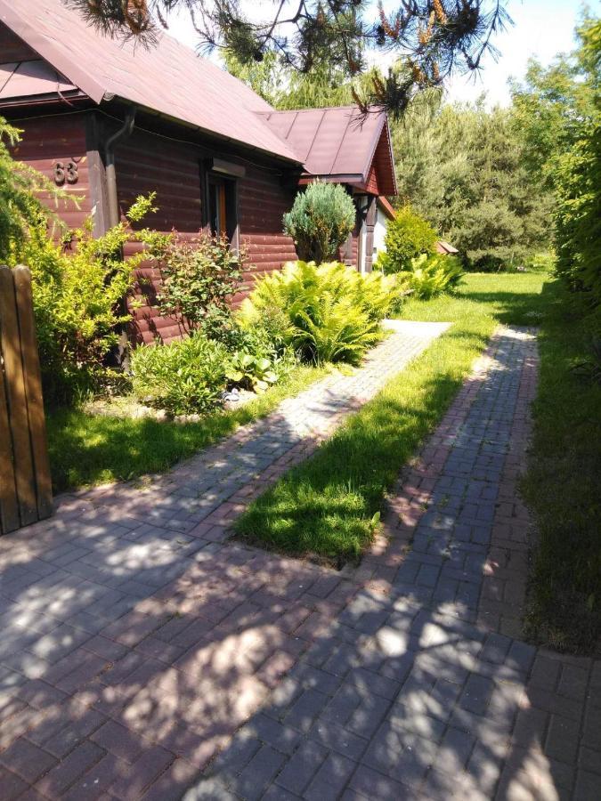 Noclegi Przy Kominku Miedzyles  Extérieur photo