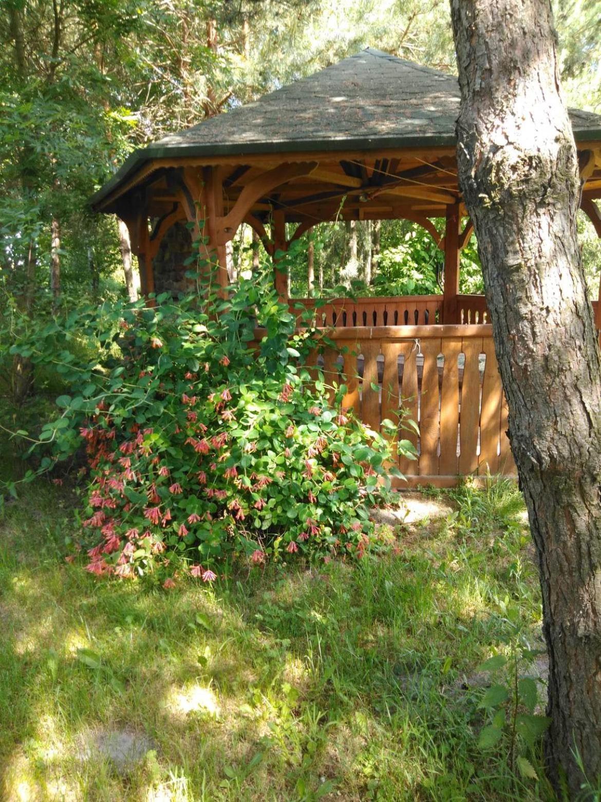 Noclegi Przy Kominku Miedzyles  Chambre photo